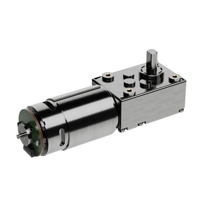 Bldc Automobile Dc Motor / High Torque Worm Gear Motor 12v