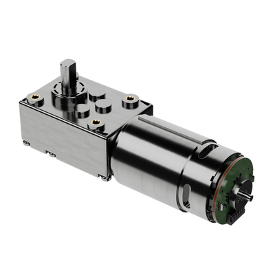 Bldc Automobile Dc Motor / High Torque Worm Gear Motor 12v